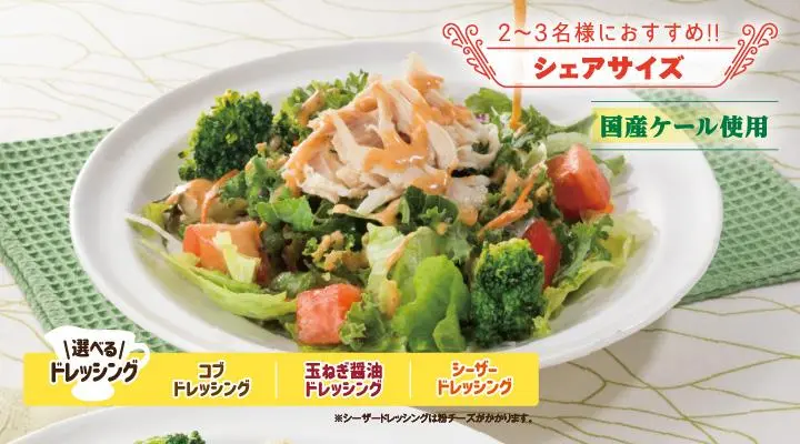 蒸し鶏と彩り野菜のサラダ（L）